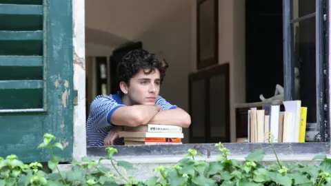 Timoth&eacute;e Chalamet protagoniz&oacute; algunas escenas de desnudo. / RRSS