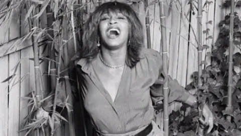 Tina Turner / IMDB