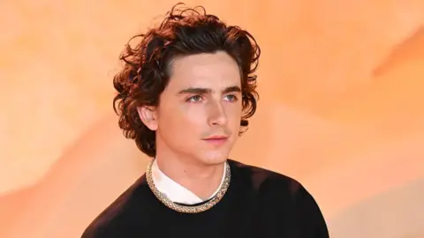 Timoth&eacute;e Chalamet. / IMDb