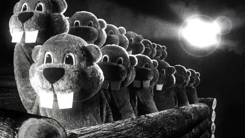 Una imagen de la cinta Cientos de castores, dirigida por Mike Cheslik. / Filmin