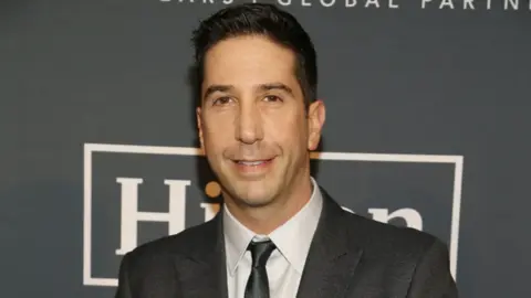 David Schwimmer. / IMDb
