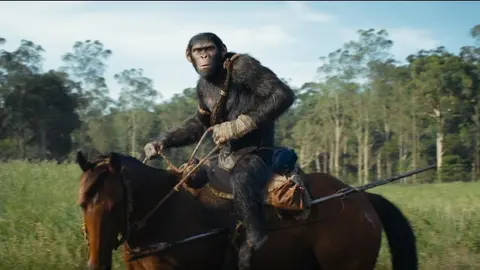 El reino del planeta de los simios, pel&iacute;cula. / IMDb