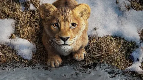 Mufasa El Rey León