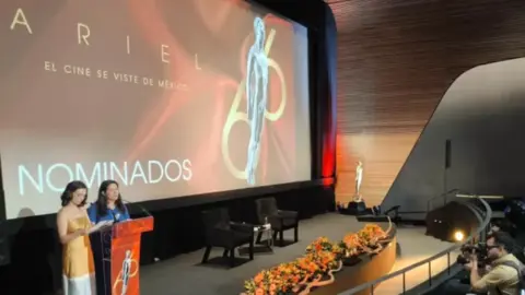 Nominados al Ariel 2024. / RRSS