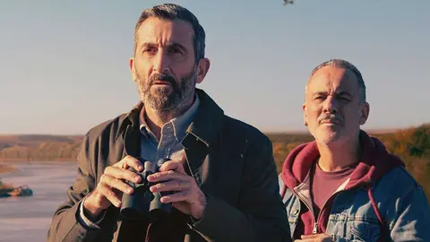 P&aacute;jaros, teaser. / YouTube