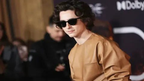 Timothee Chalamet. / RRSS