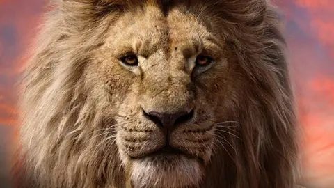 Mufasa.