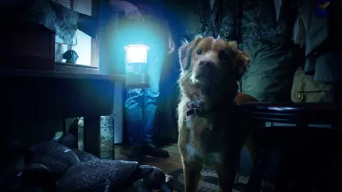 Good boy. / RRSS