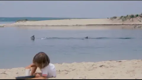 Imagen de la pel&iacute;cula Tibur&oacute;n. / Mundiario.