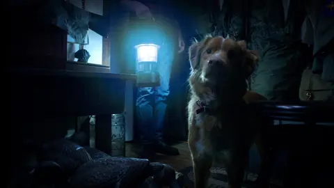 Good Boy, pel&iacute;cula. / IMDb