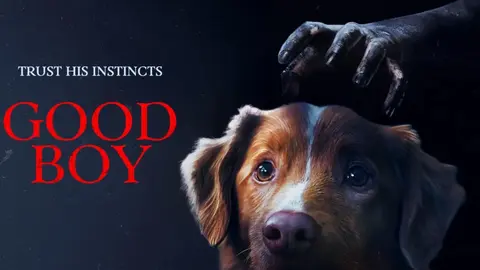 P&oacute;ster de Good Boy. / RR SS