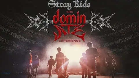 P&oacute;ster de Stray Kids: The dominATE Experience. / RR SS