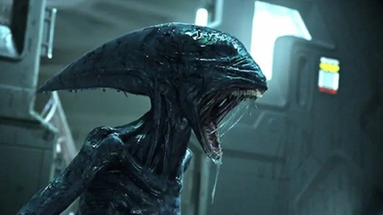 Alien covenant. 