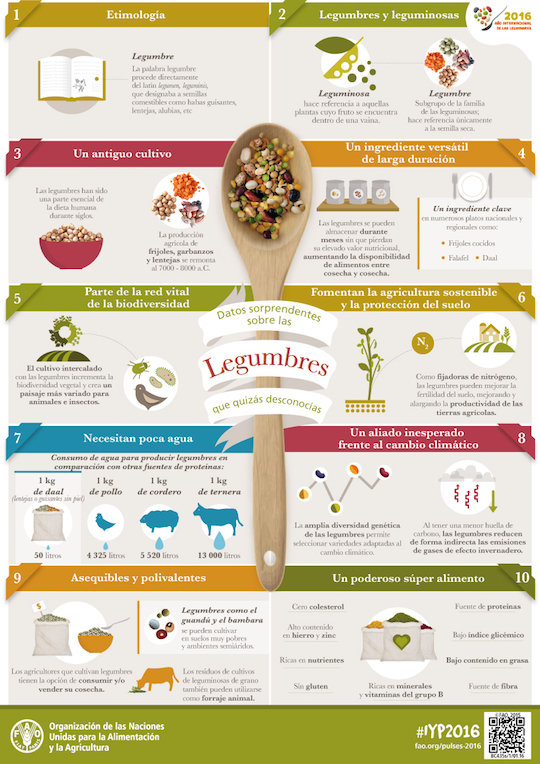 Infografía legumbres. / FAO