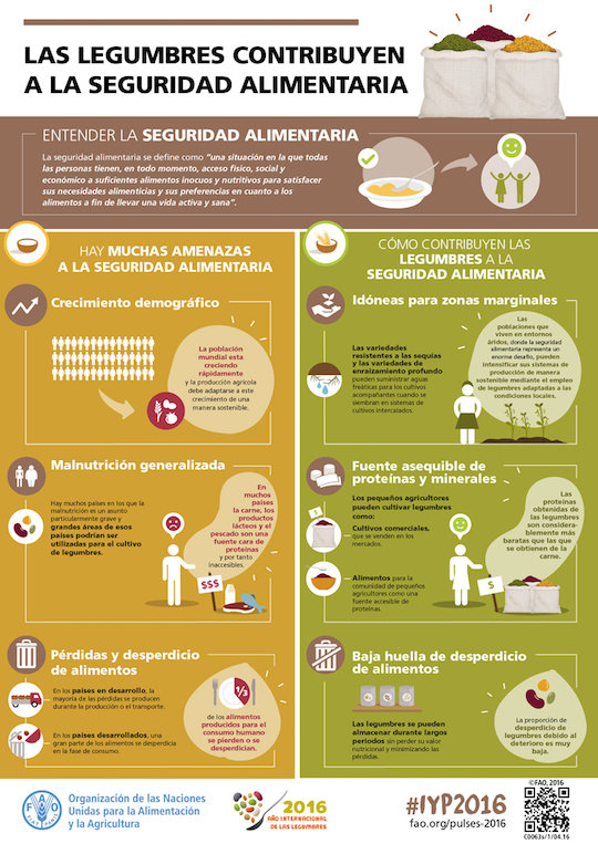 Infografía seguridad alimentaria. / FAO