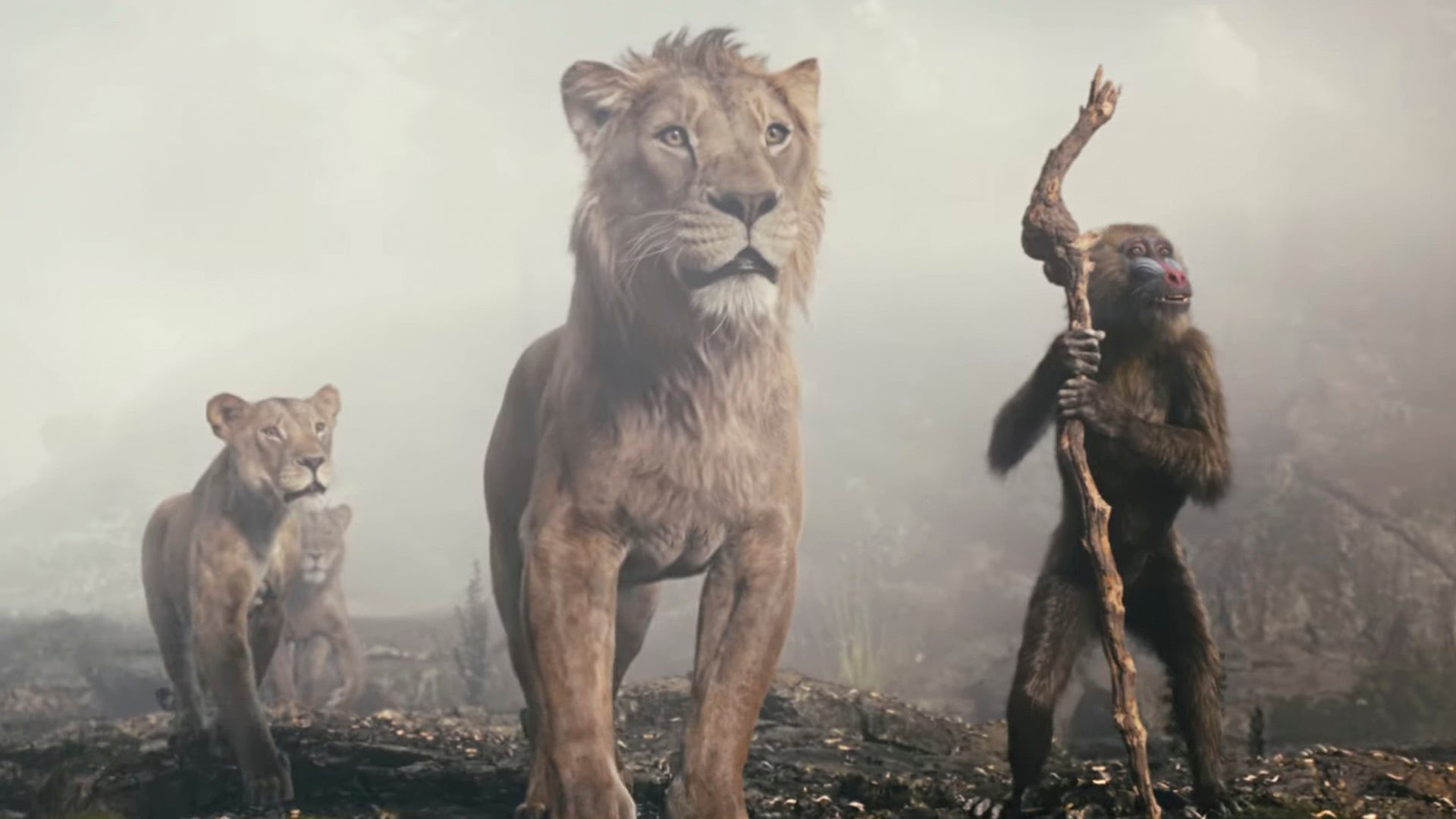 Imágenes de Mufasa: el rey león / @DisneyStudios