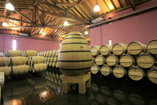 Bodega Ovum.