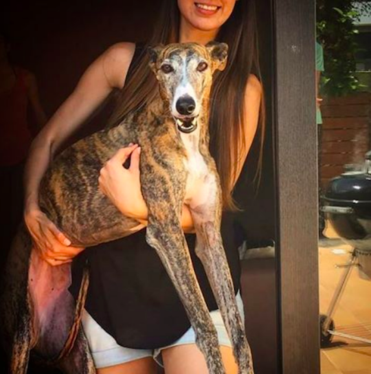 Gala con su dueña Minerva. / Instagram @gala_galga