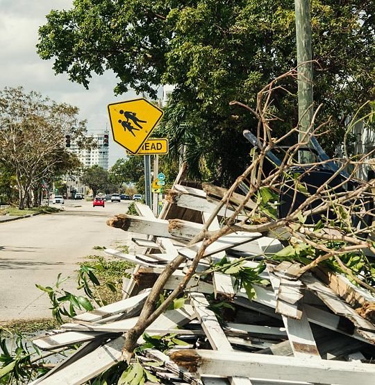 Tras el paso del huracán Irma - 2 / David Diaz (Remon)