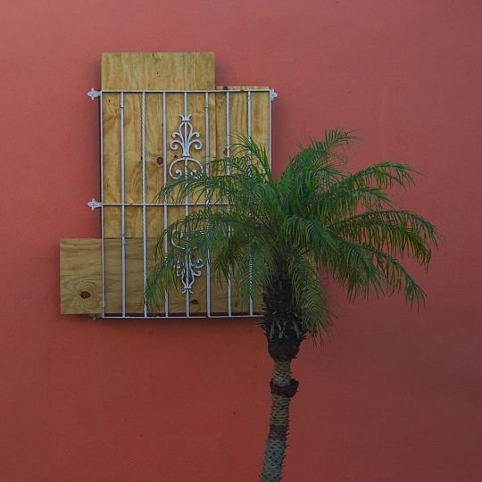 Tras el paso del huracán Irma - 3 / David Díaz (Remon)