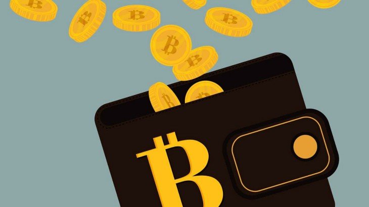 Bitcoin wallet. TechWorm