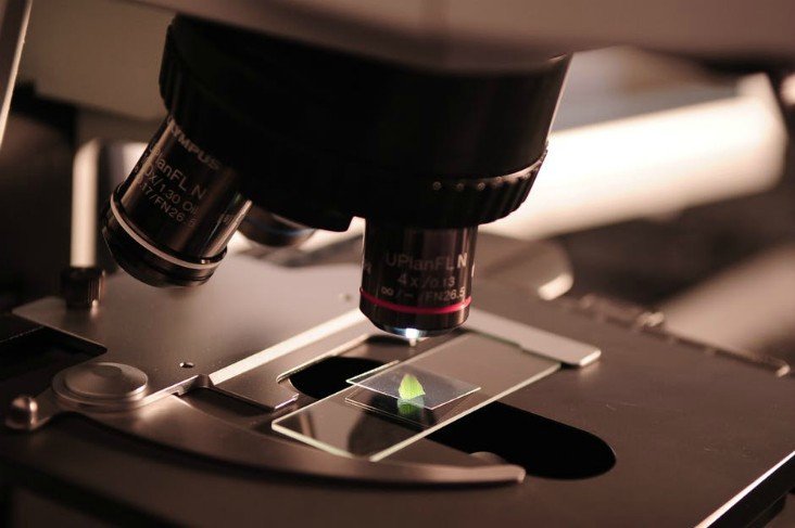 Ciencia. Pixabay