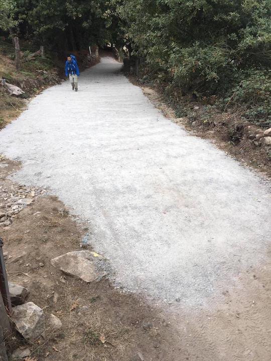 Asfaltado de hormigón en el Concello de Paradela, una zona del Camino Francés. / FICS