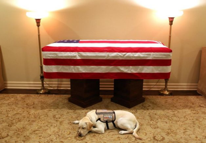 Sully, el padre del expresidente George Bush. RR SS.