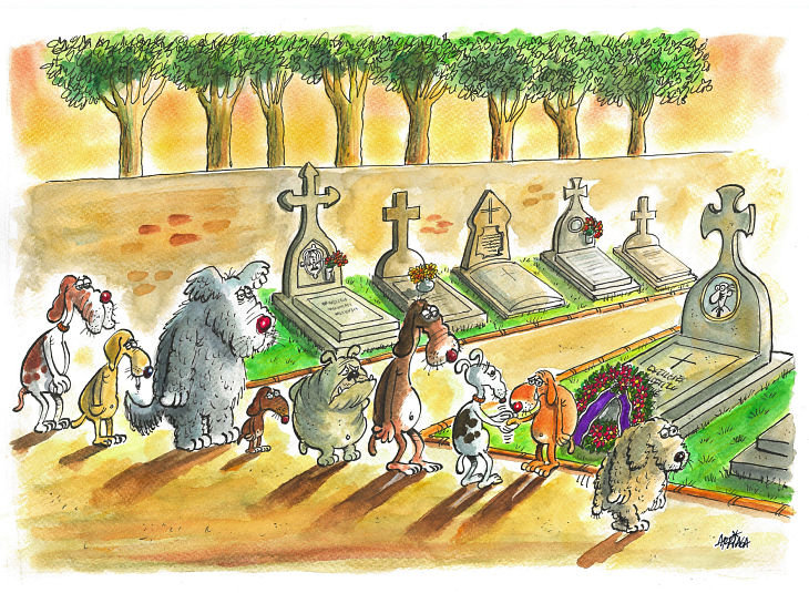 2º Lugar en Premio Curuxa de Humor 2018 / Manuel Arriaga