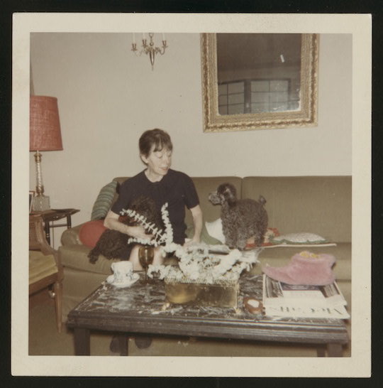 Dorothy Parker con sus perros. / nypl.digitalcollections
