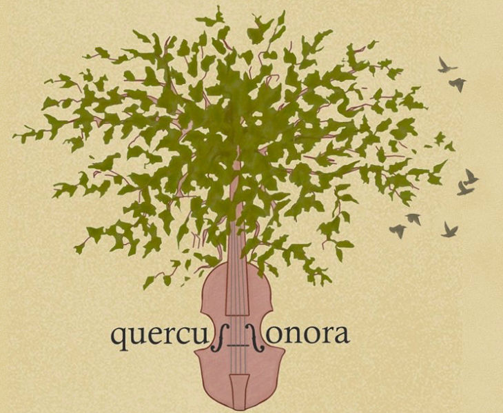 Quercus Sonora