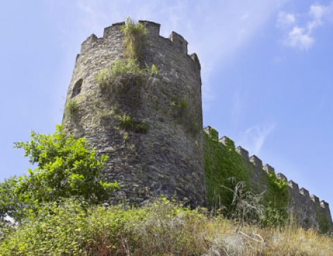 Castelo de Doiras Cervantes
