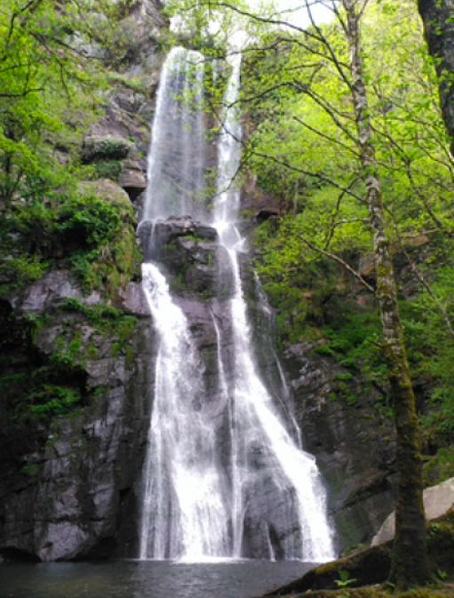 Seimeira de Vilagocende A Fonsagrada