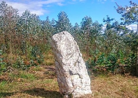 Trabada Menhir de O Marco da Pena Verde