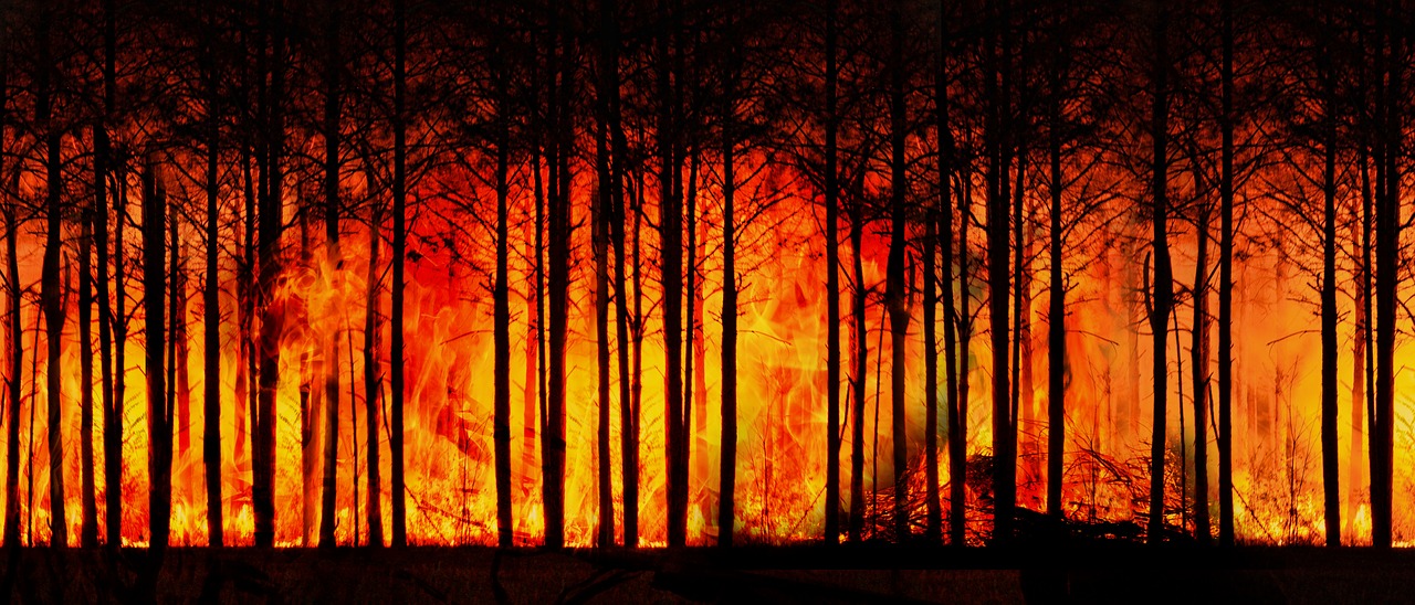 Un incendio forestal. / Pixabay