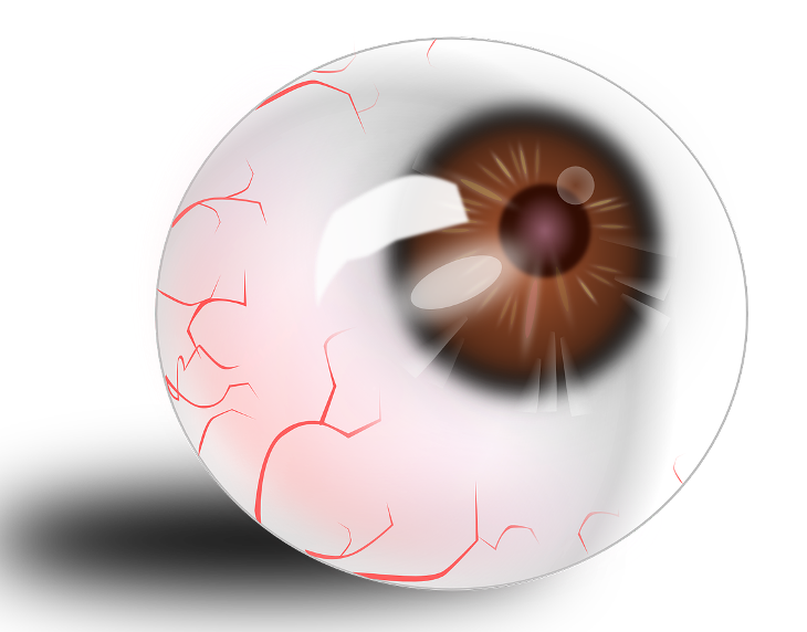 Cuando la presión intraocular (PIO) está lo suficientemente elevada daña al nervio óptico de forma irreversible. / Pixabay