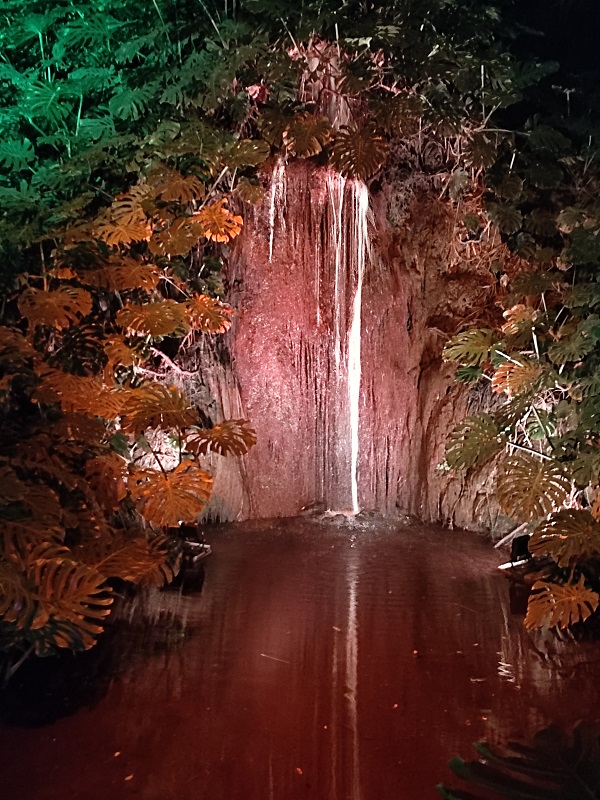 Jardín del Botánico