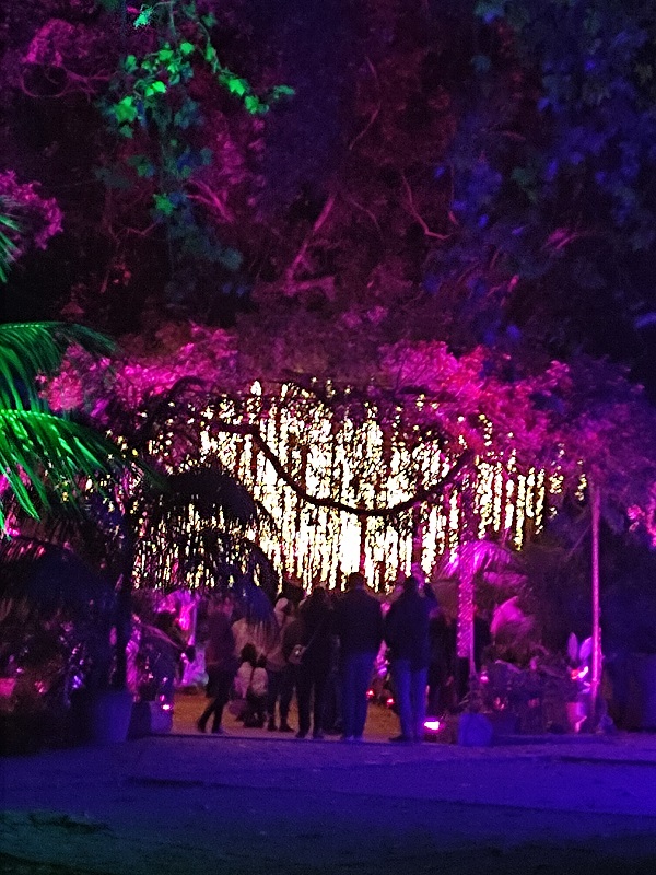 Nocturno de La Concepción