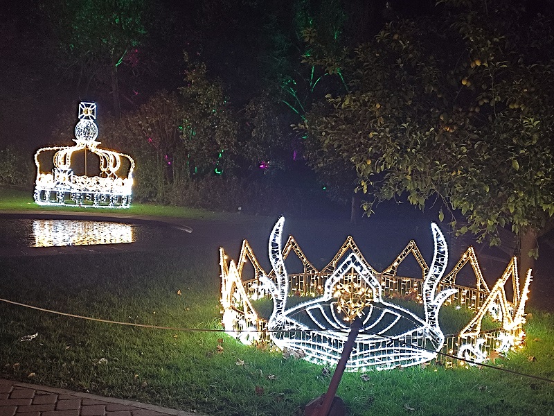 Botanico Nocturno