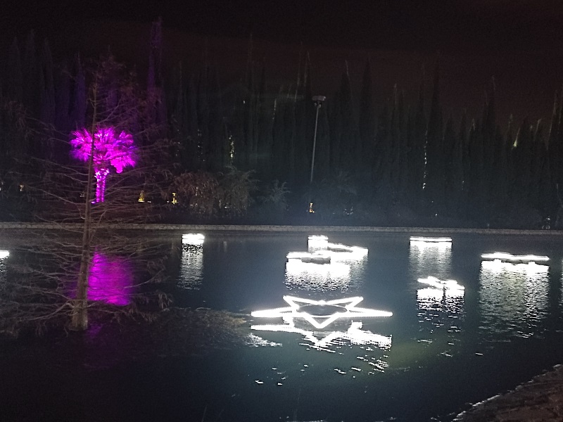 Lago del Botánico nocturno