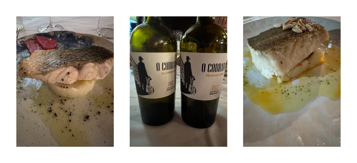 Bacalao "á grella", lubina a la plancha y un buen Godello. / M.M.