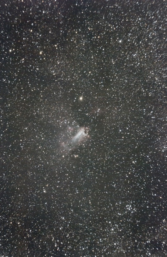 Nebulosa Omega (o del Cisne) - Canon 250D Bresser 114-500mm Star Adventurer 2i / @_sebasfl_