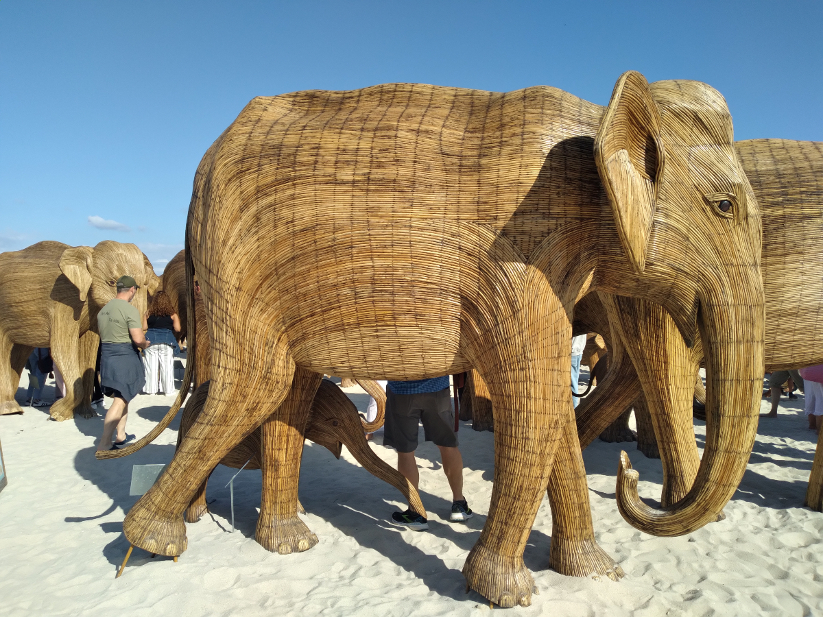 Cien esculturas de elefantes en Miami Beach, Florida. / Andrés Alende