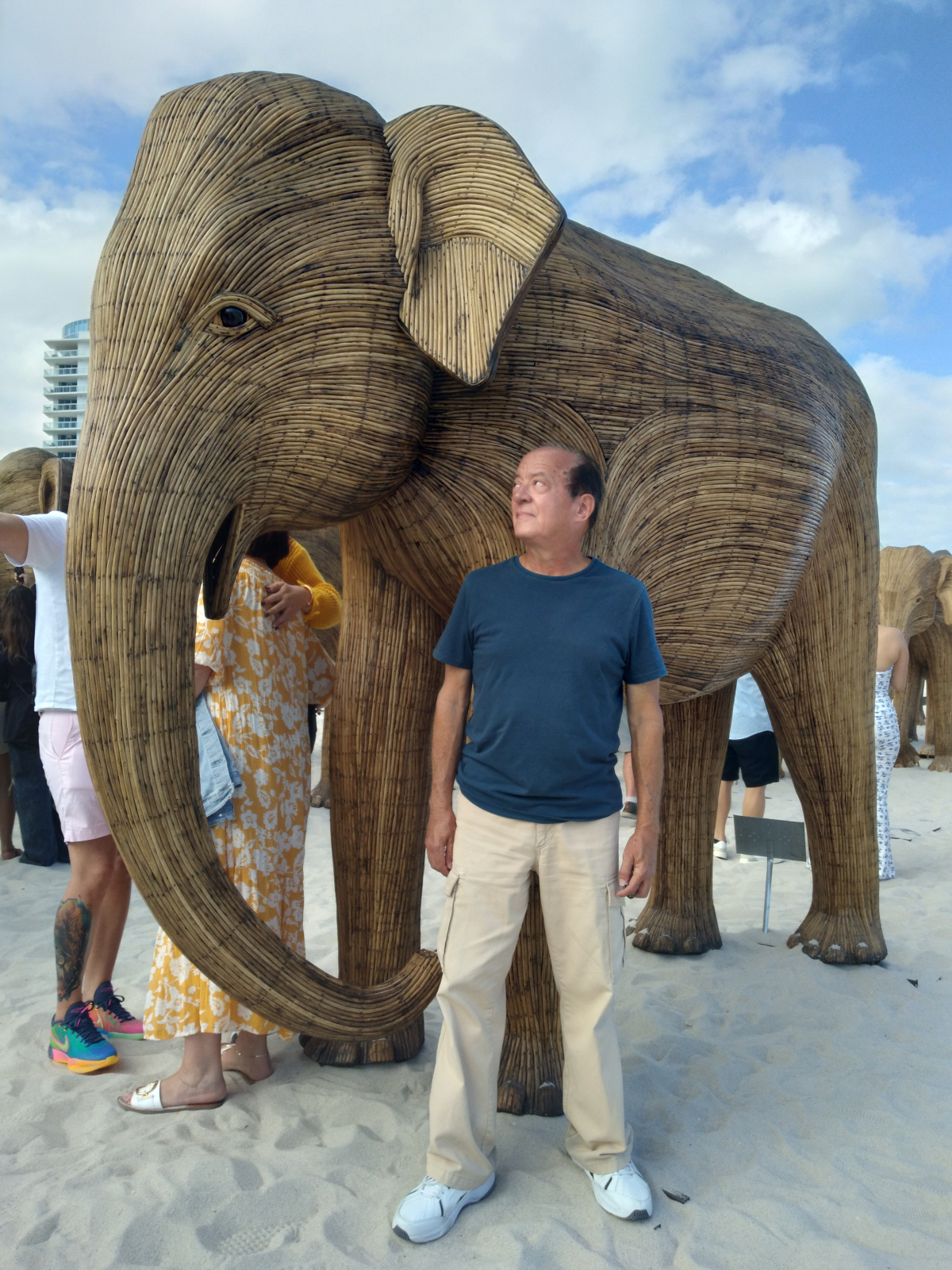 Cien esculturas de elefantes en Miami Beach, Florida. / Andrés Alende