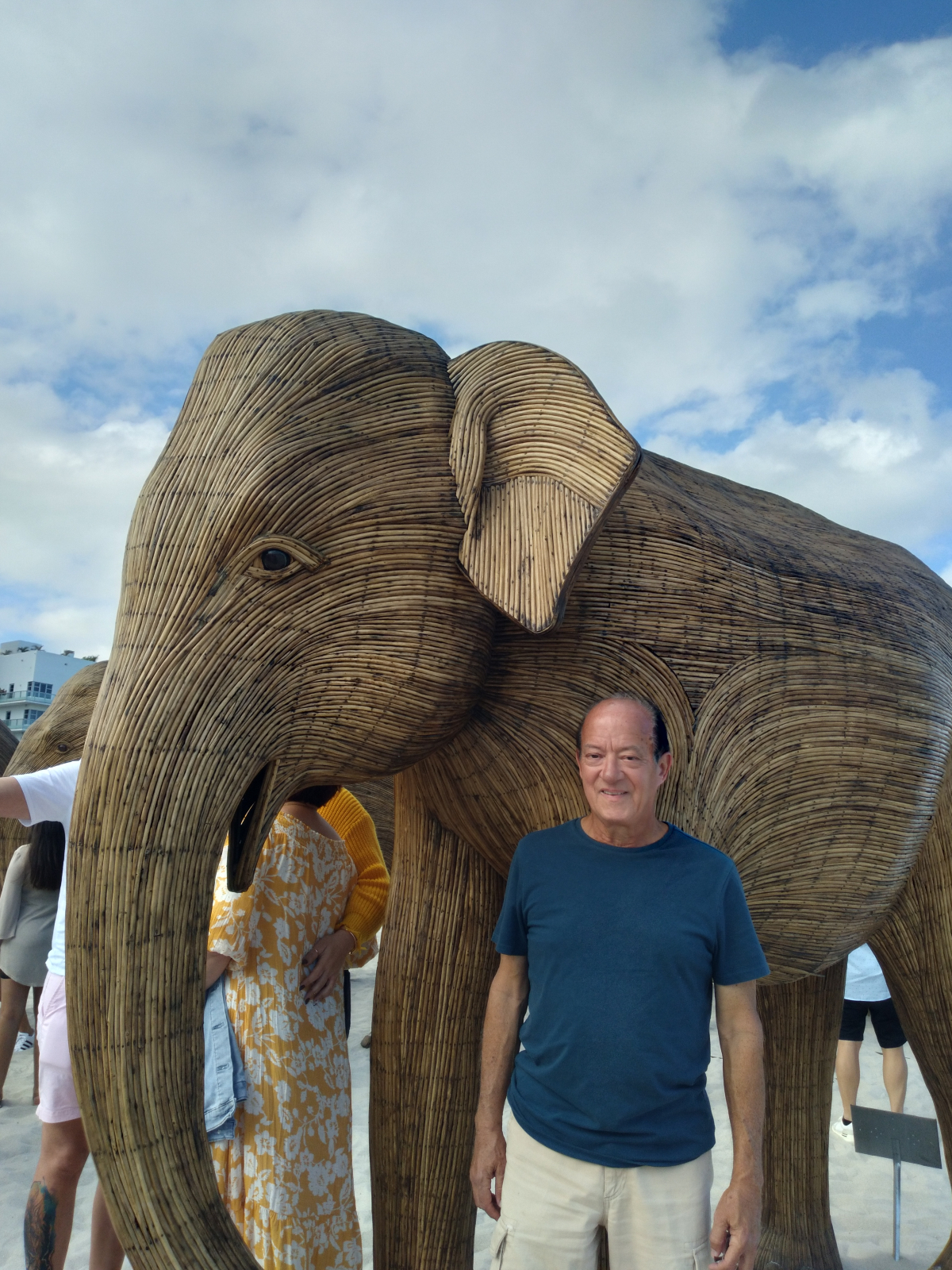 Cien esculturas de elefantes en Miami Beach, Florida. / Andrés Alende(2)