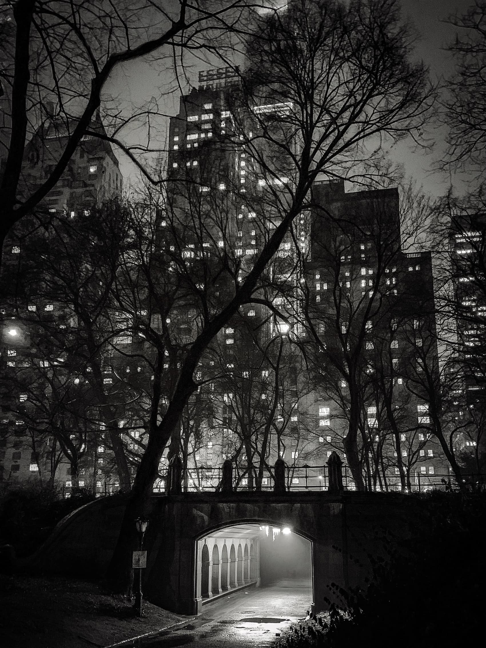 iPhone Photography Awards 2025 – Primer  Premio   /©Carol Addassi, Estados Unidos